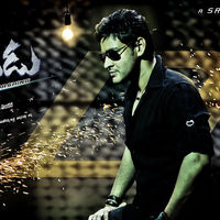 Dookudu Movie Wallpapers | Picture 61734